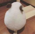 Davigz头像