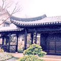 SouliesDeng头像
