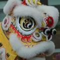 LionDance头像