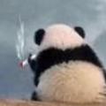 娱乐风男头像