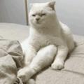 奔赴山海的光g头像