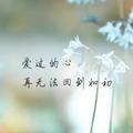 布鲁斯李308头像