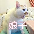 厉害了我的妃头像