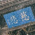 模具人生兼土石方运输工程陈锋头像