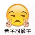 沃德天沃帅德嫑嫑德 · 标致508车主·车龄10年头像