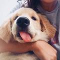和我鬼混么929头像
