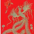 陈海文244头像