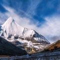 行走在高山上的雪狼头像