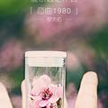 冬雨6500头像