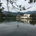 平安吉祥5852头像