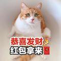 忘名1999头像