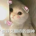 元气满满25头像