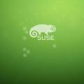 suse930头像