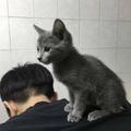 用户5320052898827头像