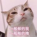 我叫一大堆人头像