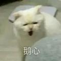 大千世界140495头像
