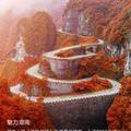 心向远方403头像