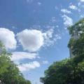 燃烧我的卡路里0952头像