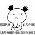 可怜的鸡翅膀头像