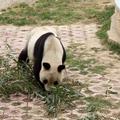 沉默2389636979163头像