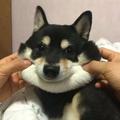 用户6867392241566头像