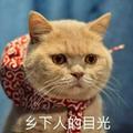 孙春雨319头像