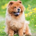繁华初下心已空づ524头像