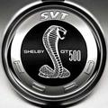MITShelby头像
