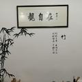 群岛小海鸥头像