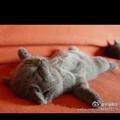 王辉129720302头像