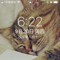 小杨4427头像
