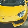 Lamborghini475头像