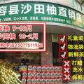自若橘子4l头像
