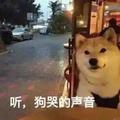 呵灬呵32253053头像