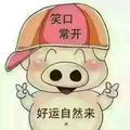 张铁鹏448头像