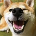 阿松2018923 · 飞度车主·车龄4年头像