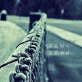博学多才的明月HL头像