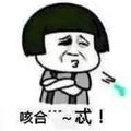 总有刁民想害朕233333头像