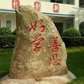 昔日余光502头像