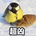 姚敬心头像