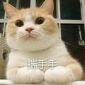 淡出网络834 · 蒙迪欧车主·车龄1年头像