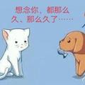 无心240101294头像