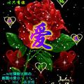 ZHANGJUN70677689头像