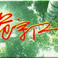 宇凡790头像