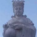 夏季寒冰936头像