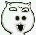 太阳猫623头像
