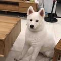 滴调83597383头像