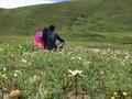 进取山丘zV头像