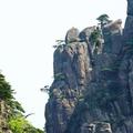空为虚则实头像