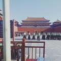 乘风看日落头像